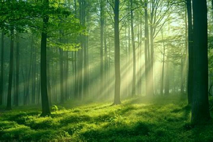 Viagra can you take viagra abroad pharmacy