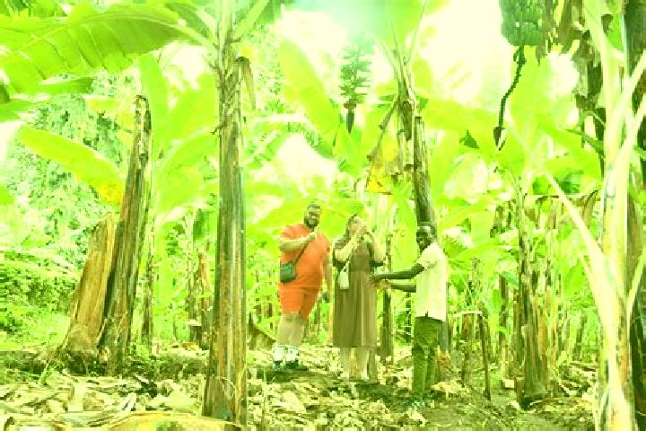 Viagra do you ejaculate more on viagra pharmacy