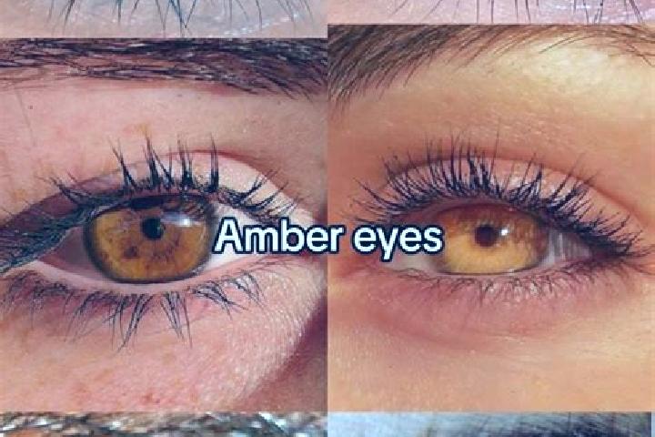 Xenical generic xenical orlistat 120 mg pharmacy