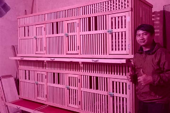 Xenical xenical roche mexico pharmacy